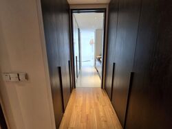 Whitley Road (D11), Semi-Detached #557127411
